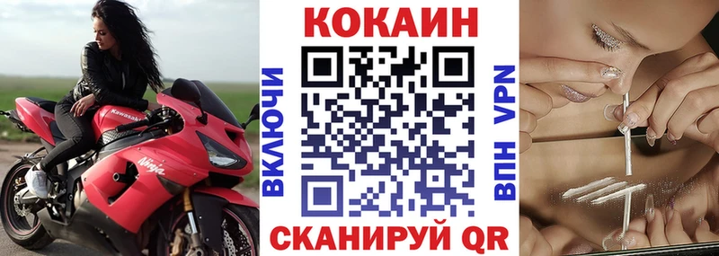 Cocaine Эквадор  Купить закладки  Петровск 