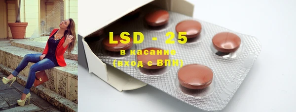 прущие грибы Наволоки