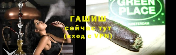 прущие грибы Наволоки