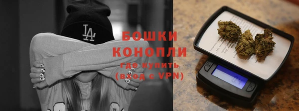 прущие грибы Наволоки