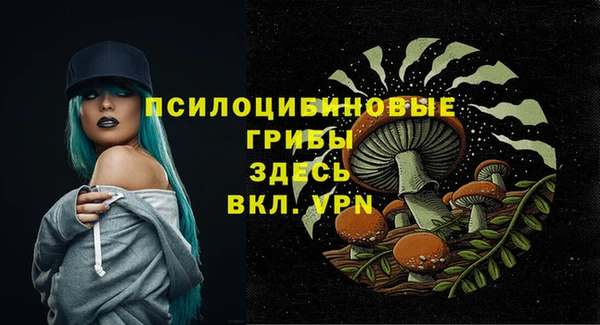 прущие грибы Наволоки