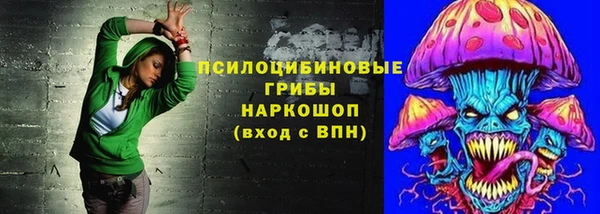 прущие грибы Наволоки